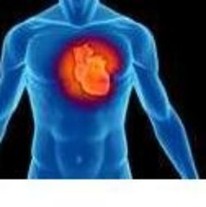 Meet your Posher, Steve